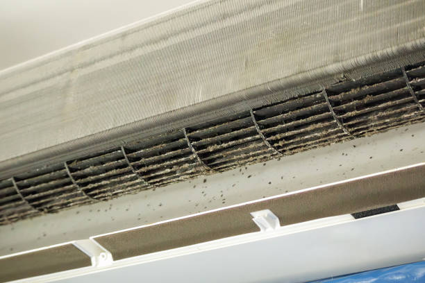 Best Emergency Air Duct Cleaning  in Fountain Inn, SC
